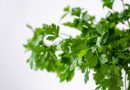 How To Grow Kitchen Herbs (And Save Money)